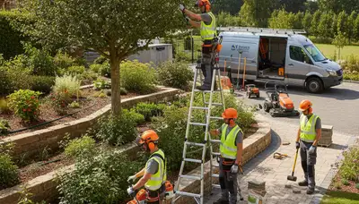 Arbor Tree Care landscaping service in Easton, PA for soil, slopes, and shade solutions