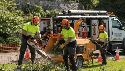 Tree crew removing overgrown shrubs in Easton, PA for Arbor Tree Care