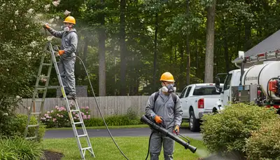 Tick control service treating a yard in Easton, PA to reduce ticks around property borders