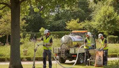 Tree fertilizing service in Easton, PA helps nourish trees for healthier growth and stronger roots