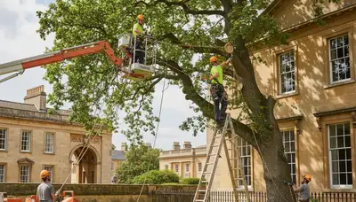 Tree service team in Easton, PA providing professional tree care and removal services