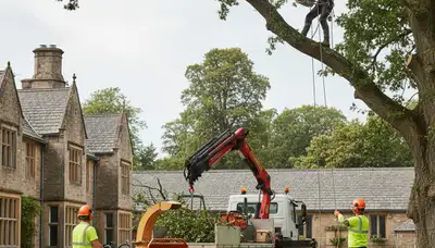 Tree service crew in Easton, PA providing professional tree trimming and removal services