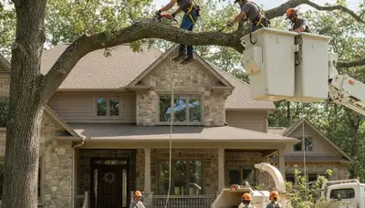 Tree service team in Easton, PA providing professional tree removal and trimming services